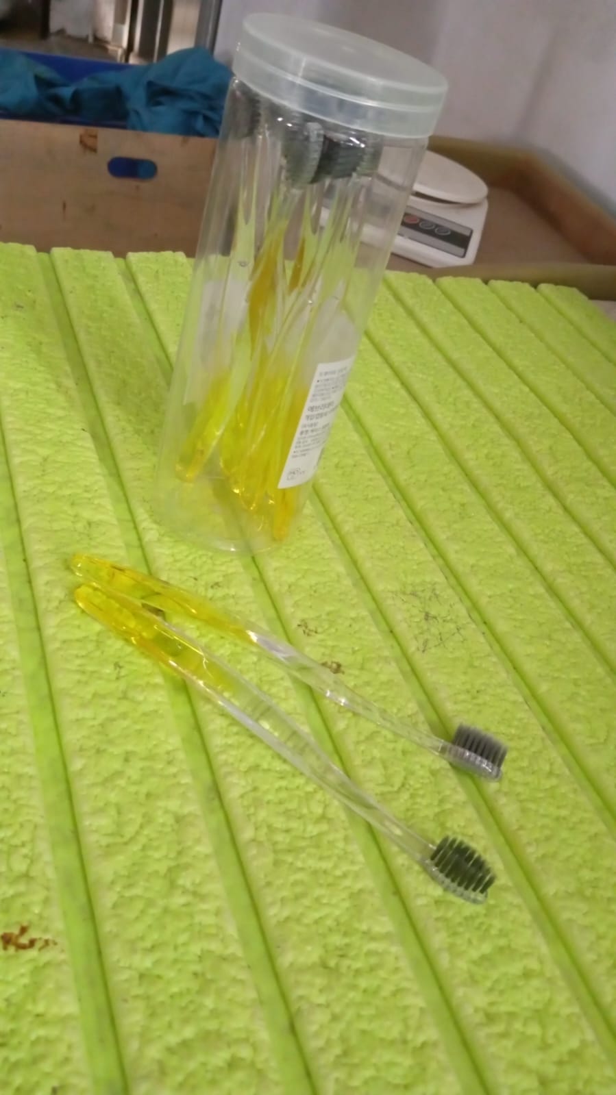 Premium Plastic Toothbrush With Plastic Round Box for Men and Women, Kids, Adults Plastic Toothbrush (10 pcs Set)