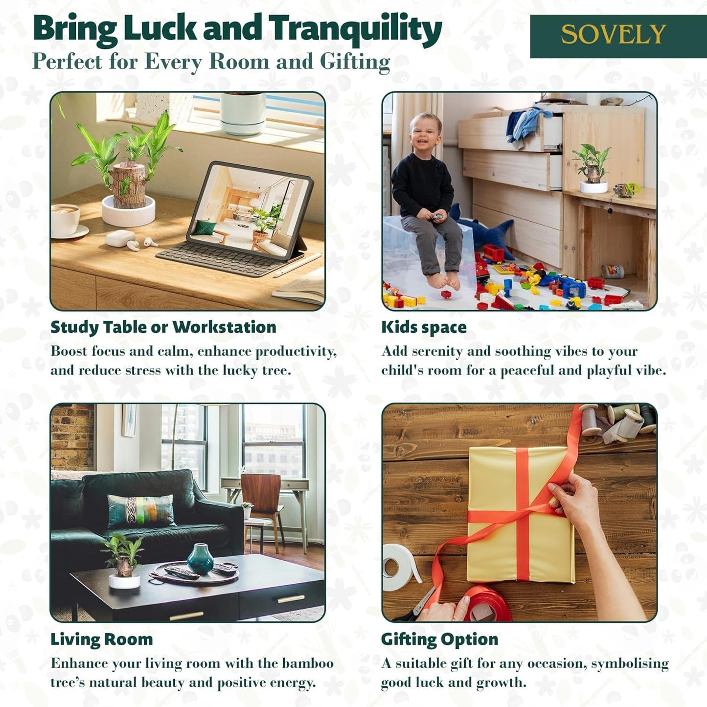 SOVELY Brazil Wood Potted Plant, Healthy Indoor Plant, Lucky Brazilian Wood Plant for Living Room Plant Brazilian Bamboo Lucky Wood Stick Good Luck Live Brazil Plant For Home, Office -Pot Not Included