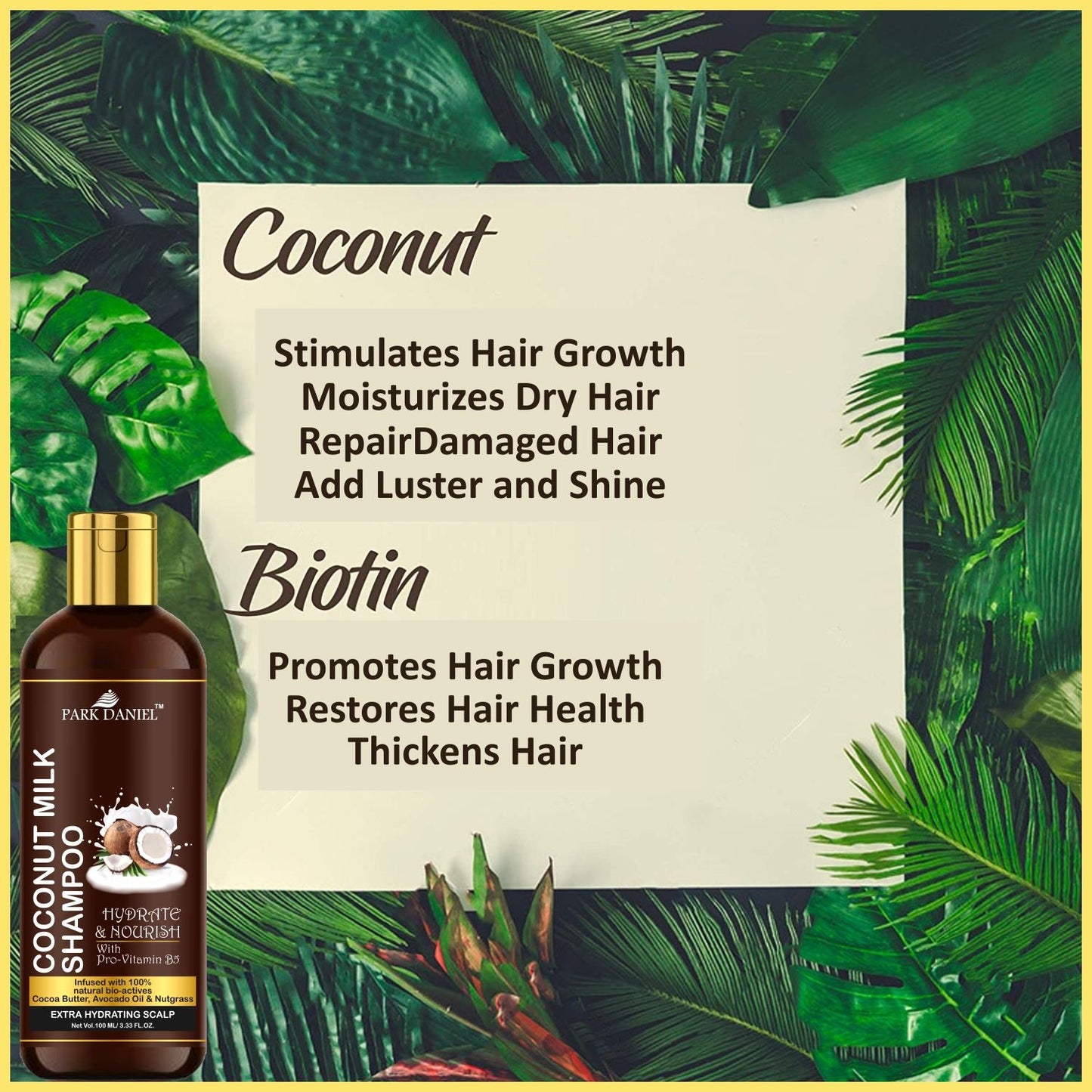 Park Daniel Green Tea Oil & Coconut Shampoo Combo Pack Of 2 bottle of 100 ml(200 ml)
