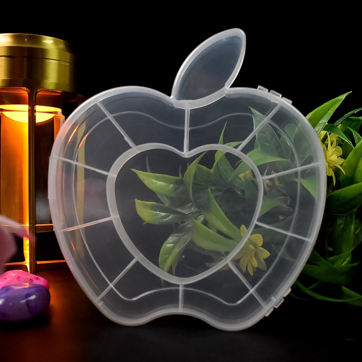 A transparent apple-shaped organizer box with a heart-shaped center, filled with green foliage, is shown against a dark