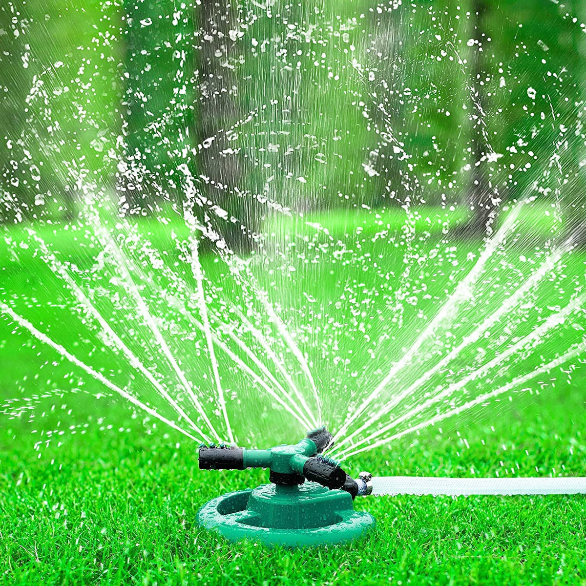 A teal and black garden sprinkler connected to a white hose waters a vibrant green lawn.