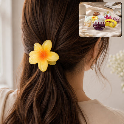 Hair clip shown in assorted colours
