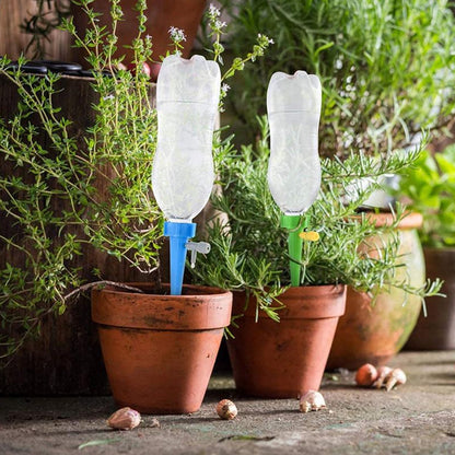 Two potted plants with clear bottles inserted into blue and green watering spikes, on a wooden surface.
