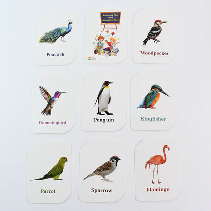 KidKraft Early Learner Educational Flashcards – 32 Birds