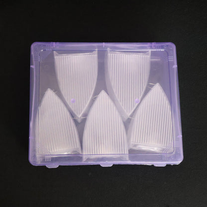 Five clear plastic ribbed lantern shells neatly arranged in a rectangular purple plastic tray.