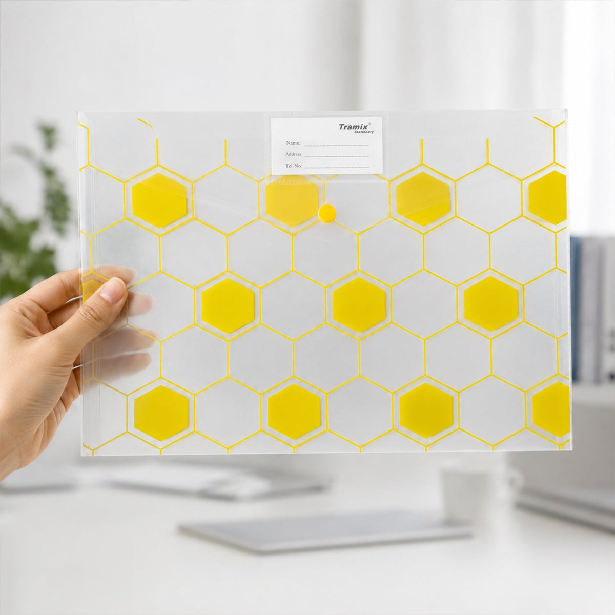 File folder white bg