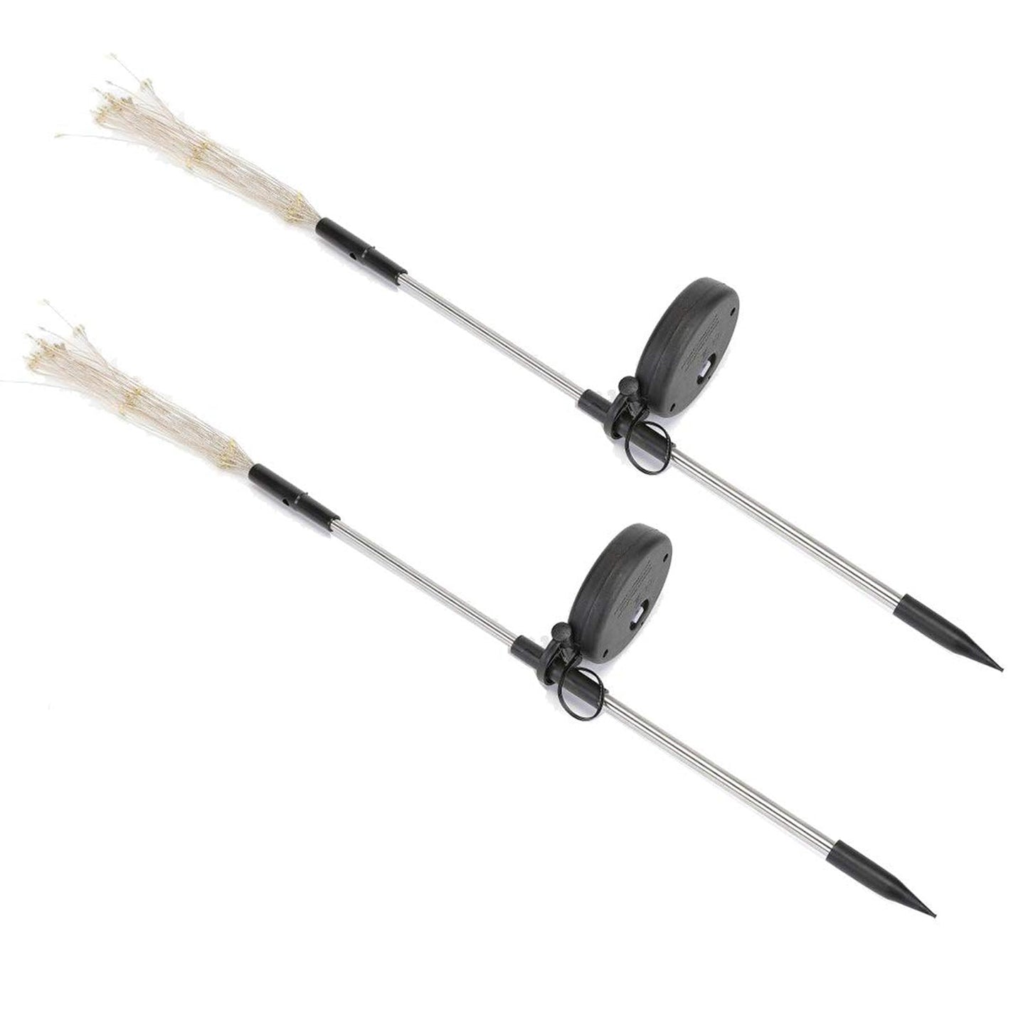 Luminous Garden Rays