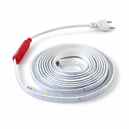 LED rope light on white background