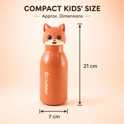 Water bottle 450 ml capacity and size details