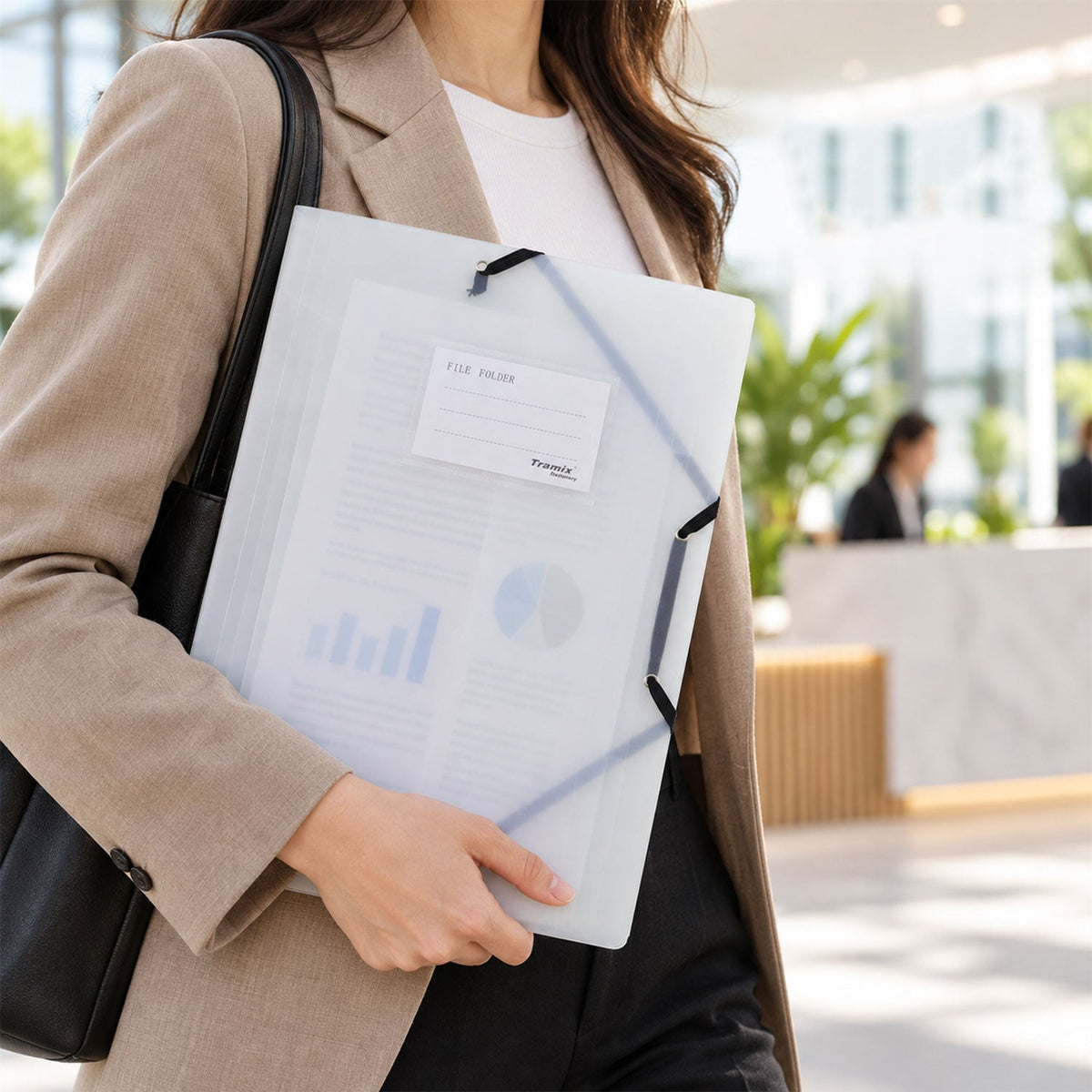 File folder carrying use