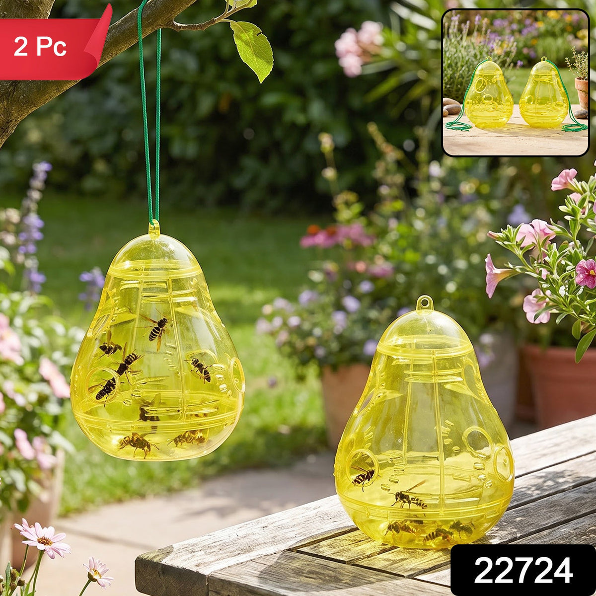 Wasp catcher hung from a tree branch