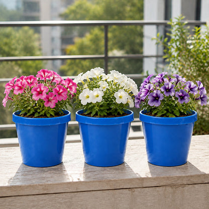 Three blue plastic planters with pink, white, and purple petunias on a stone ledge outdoors.