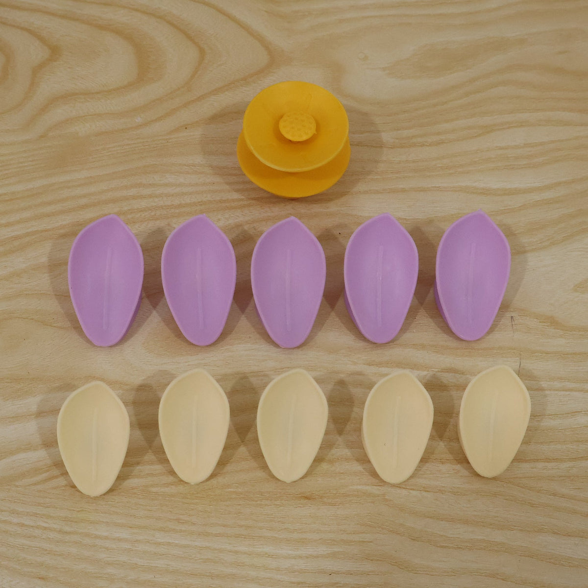 Ten individual petals, five purple and five yellow, arranged in two rows with a yellow flower center on a light wooden