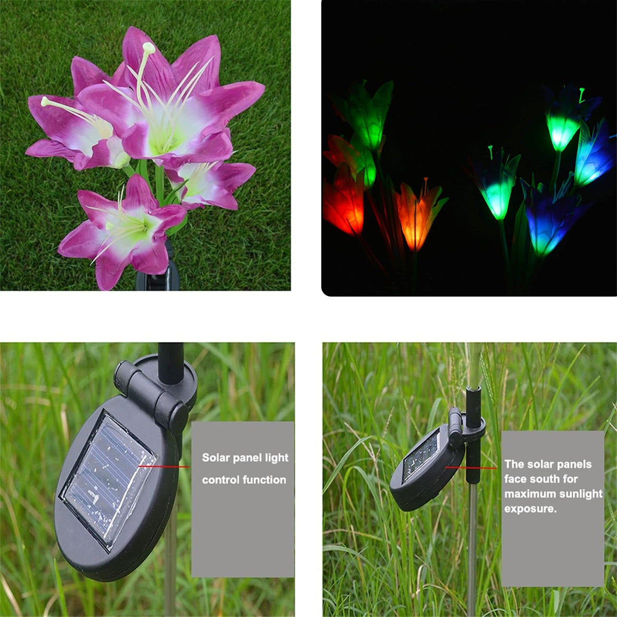 A collage shows purple flowers on grass, colorful glowing flowers at night, and two close-ups of a solar panel.