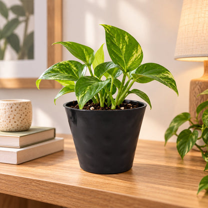 Flower pot feature view