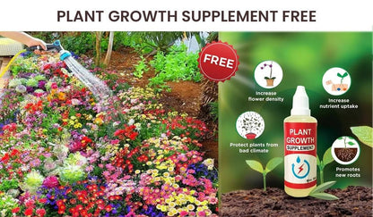 Mixed Perennial Flowers Seeds Mixed (Pack of 100)
