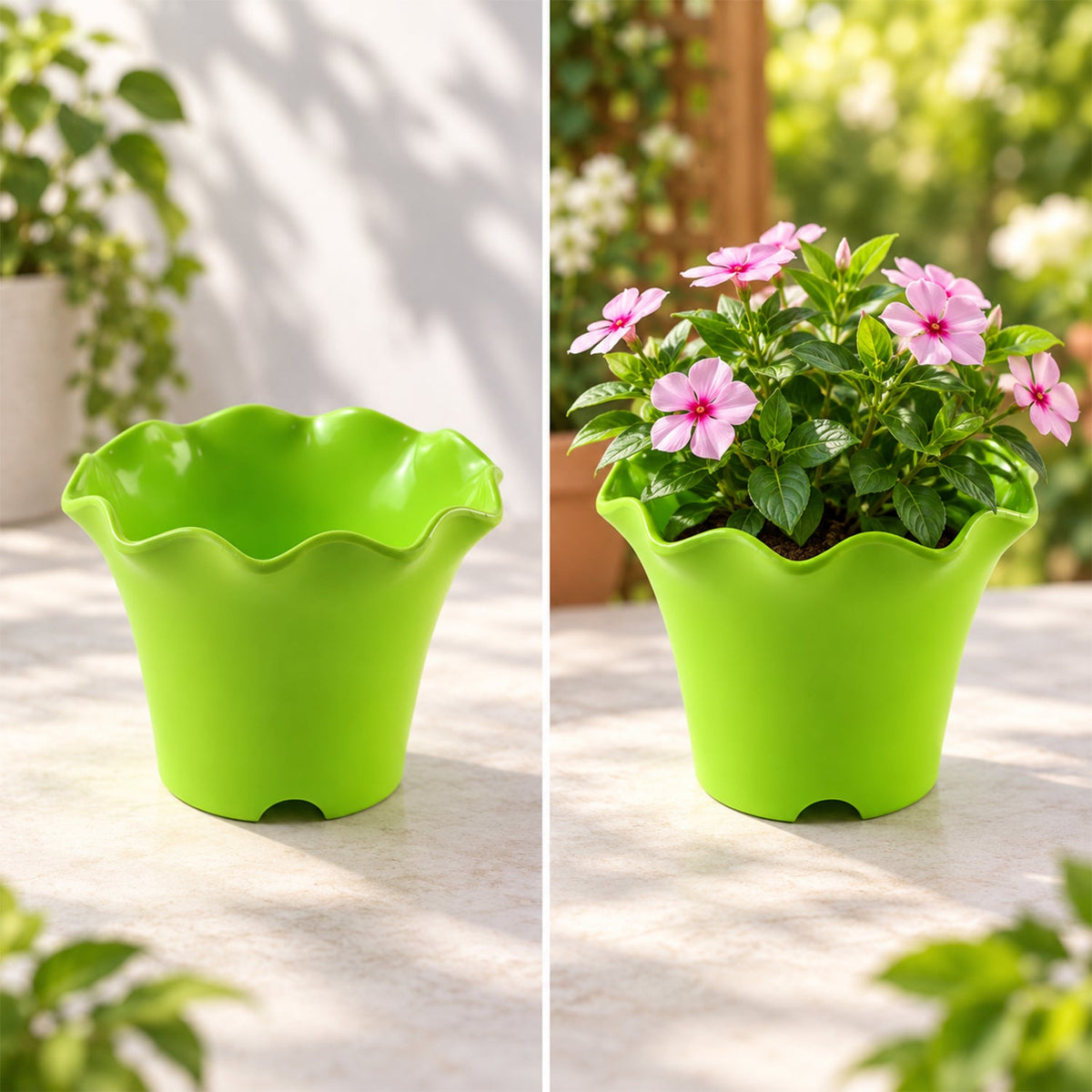 Flower pot white bg