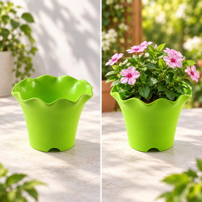 Flower pot white bg
