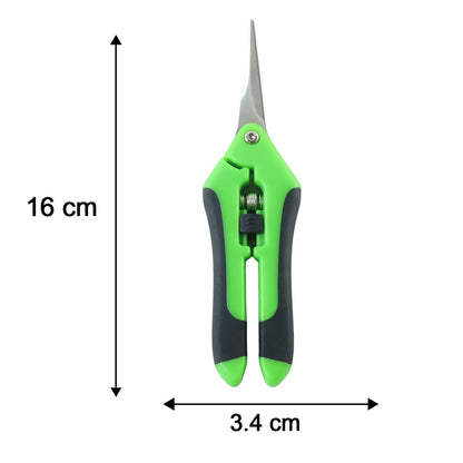Green and black snips with dimensions: 16 cm length and 3.4 cm width, on a white background.