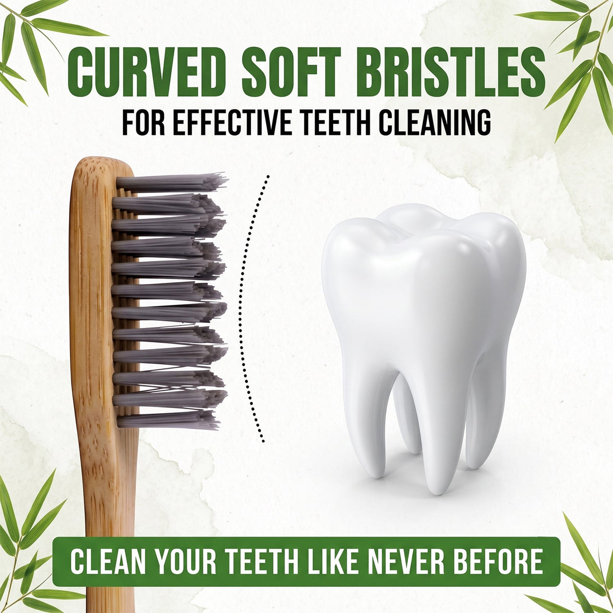 A close-up of the bamboo toothbrush head with grey, curved bristles next to a 3D model of a white tooth, with text