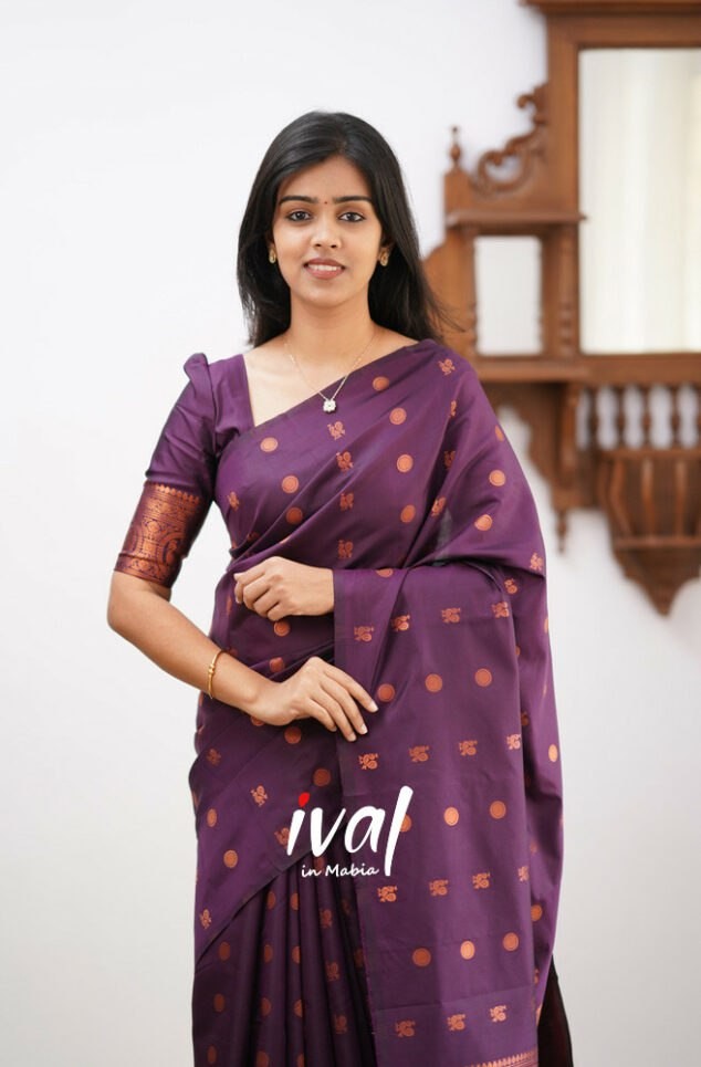 Wine Colour Beautiful And Attractive Saree For Women