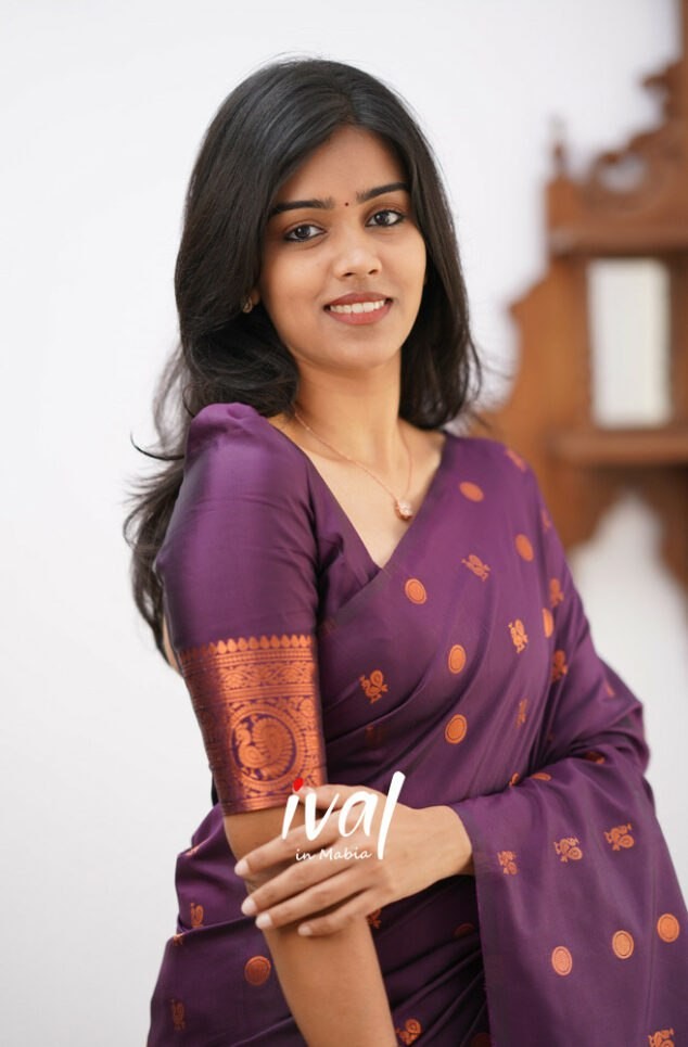 Wine Colour Beautiful And Attractive Saree For Women