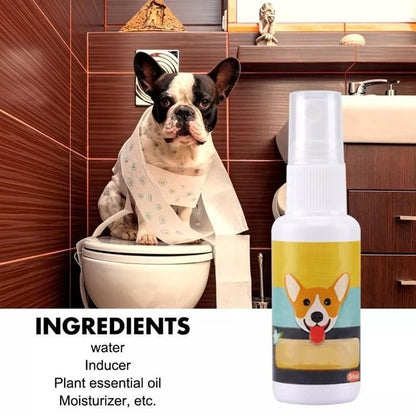 Pet Potty Training Spray (Buy 1 Get 1 Free)