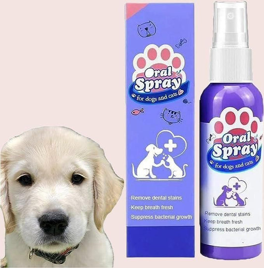 Oral Spray For Dogs & Cats (Pack of 2)